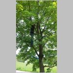 p1010151 [800x600].jpg